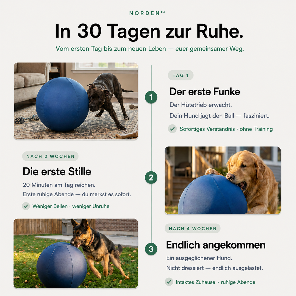 NORDEN™ — Treibball original