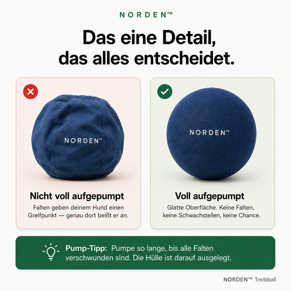 NORDEN™ — Treibball original