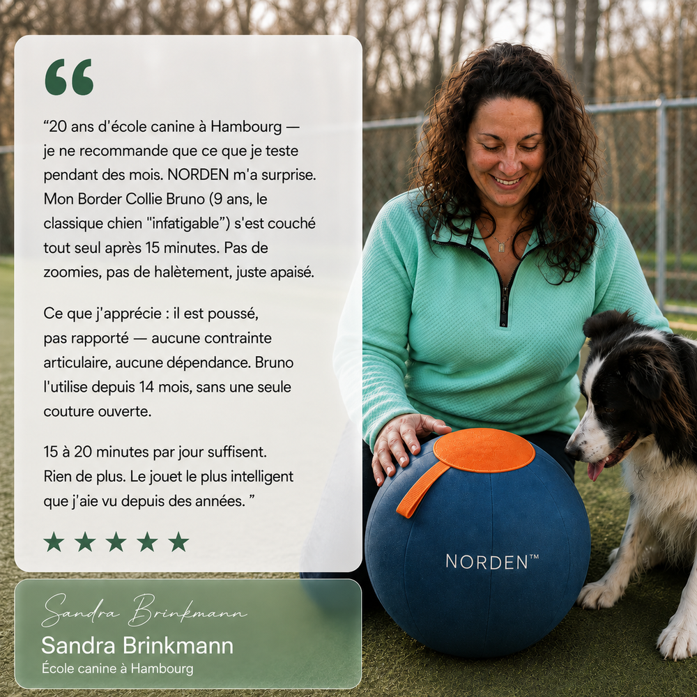 NORDEN™ — Treibball original