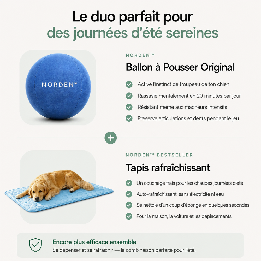 NORDEN™ — Treibball original