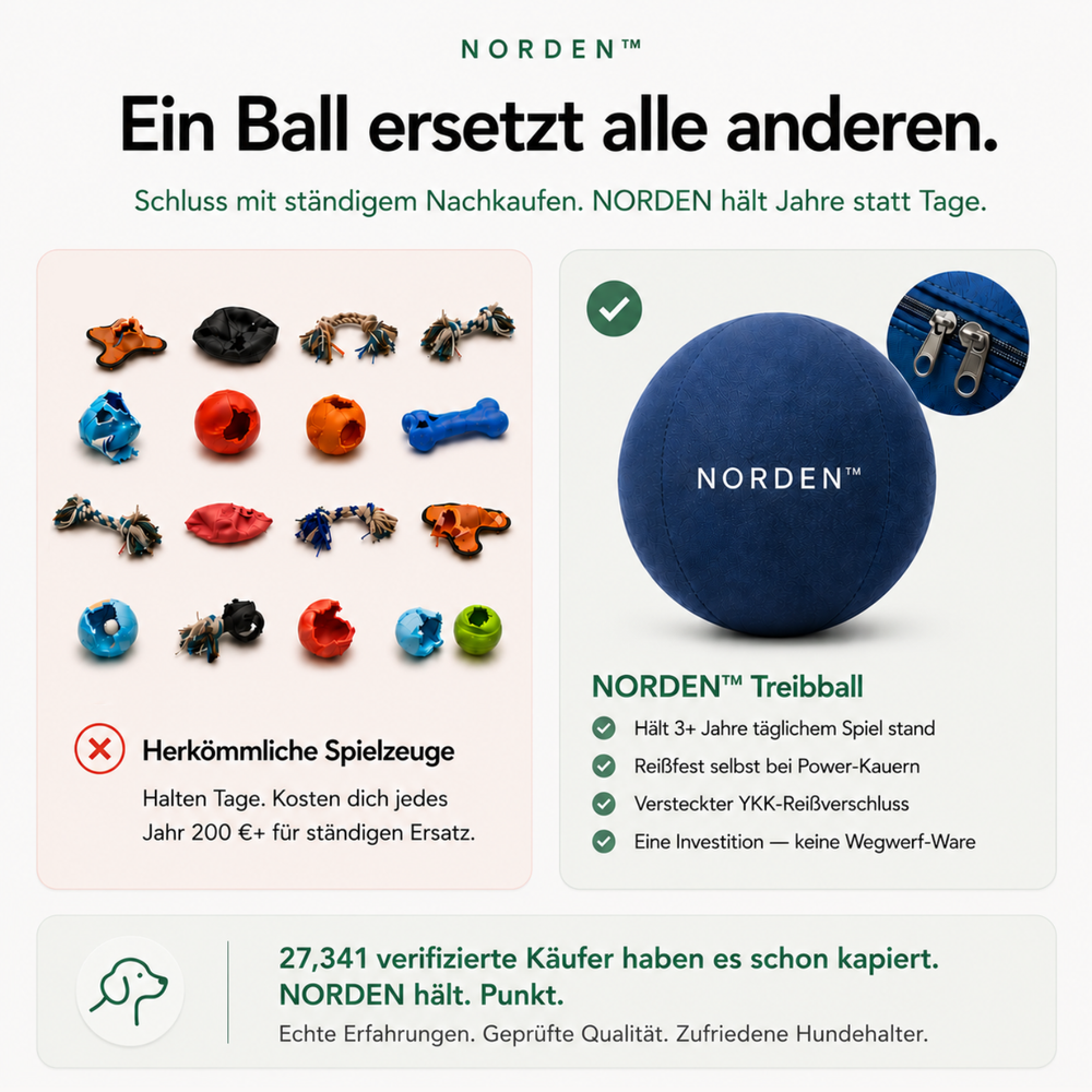 NORDEN™ — Treibball original