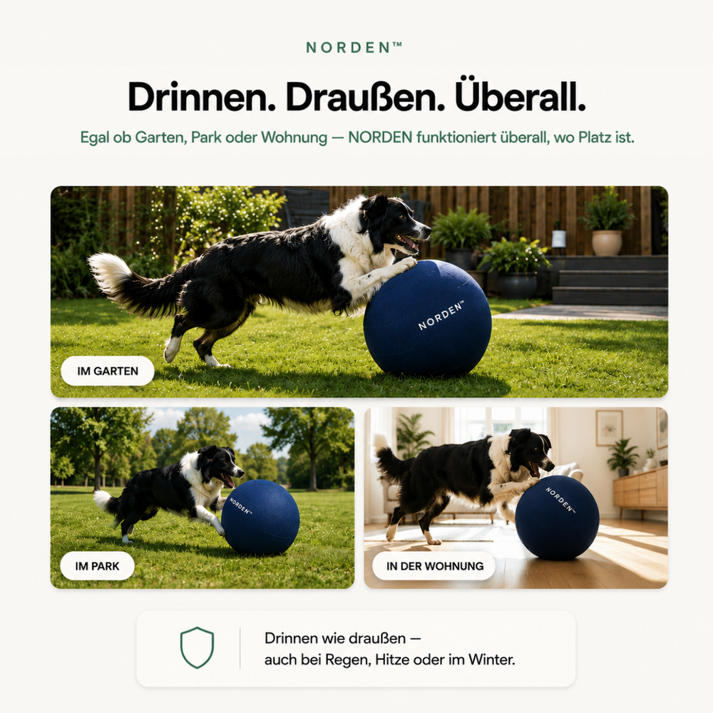 NORDEN™ — Treibball original