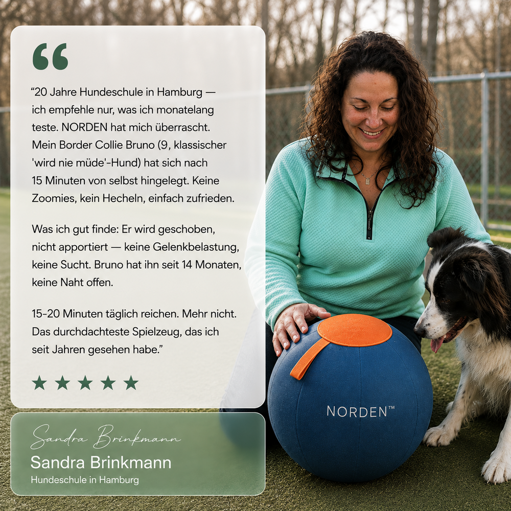 NORDEN™ — Treibball original