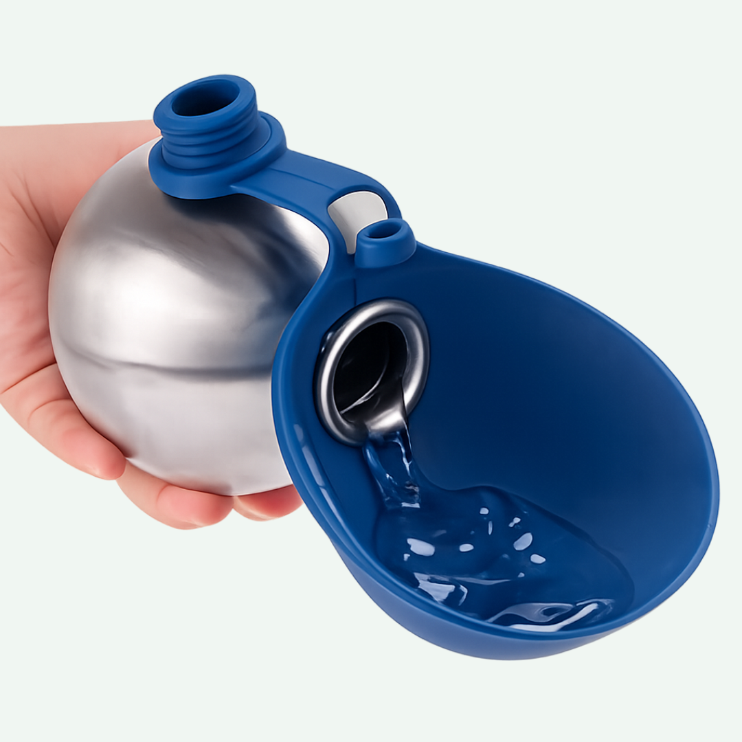 Bouteille d'eau premium pour chien