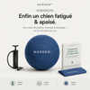 NORDEN™ — Treibball original