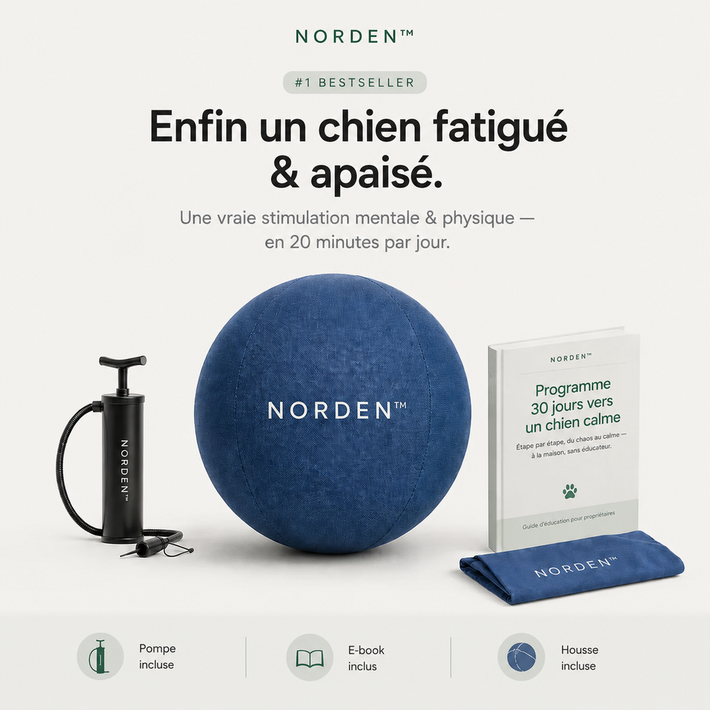 NORDEN™ — Treibball original