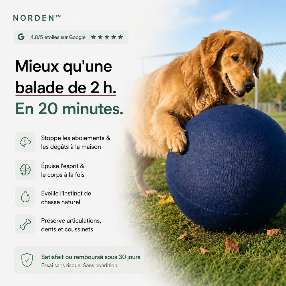 NORDEN™ — Treibball original