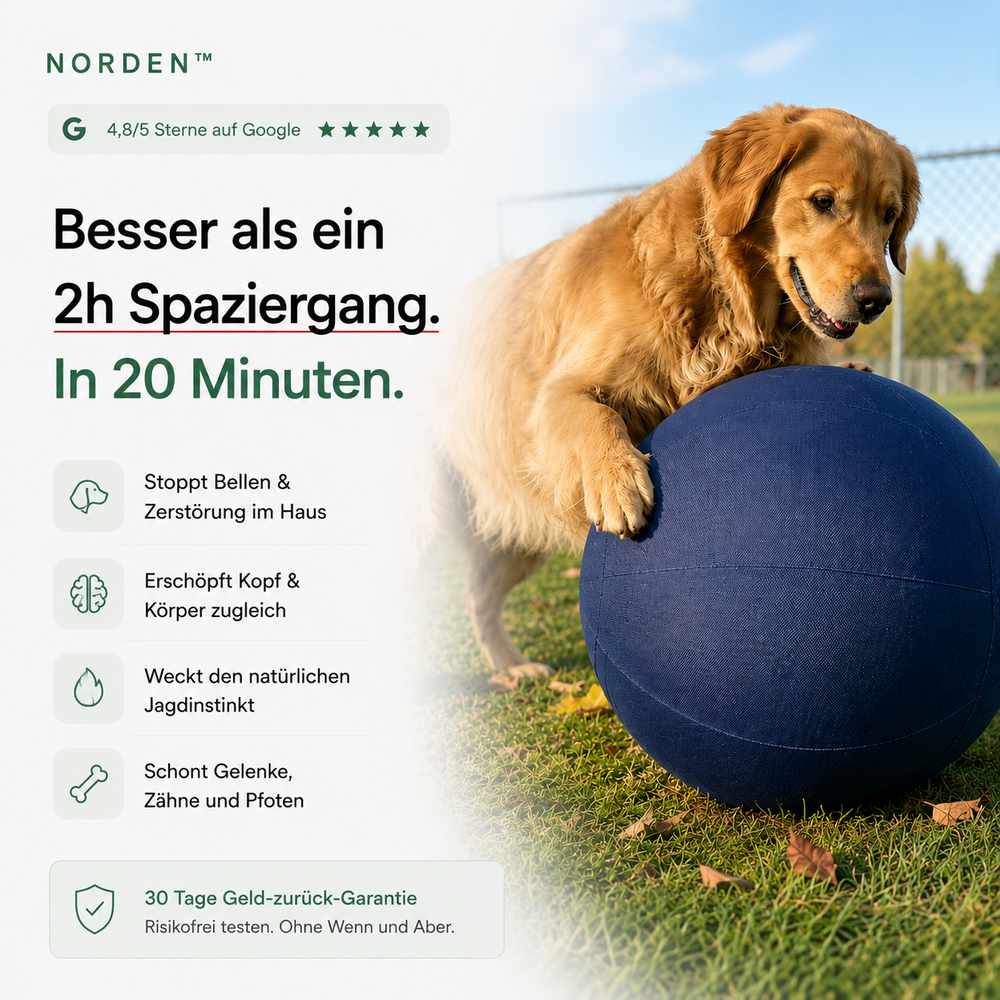 NORDEN™ — Treibball original