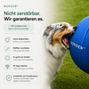 NORDEN™ — Treibball original