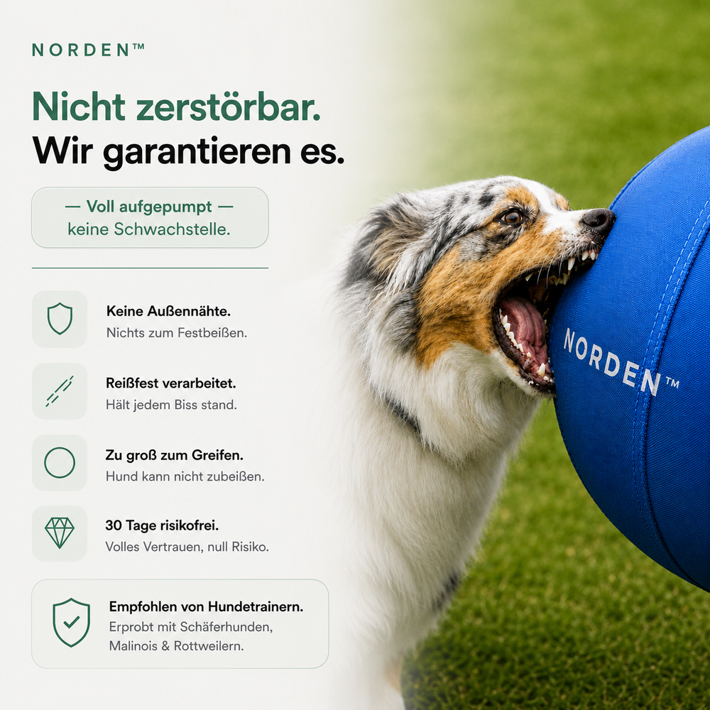 NORDEN™ — Treibball original
