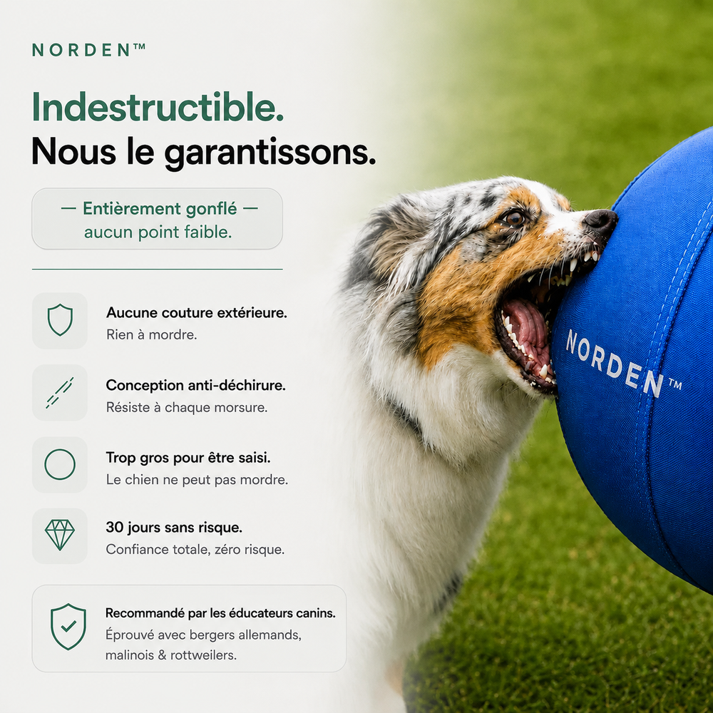 NORDEN™ — Treibball original