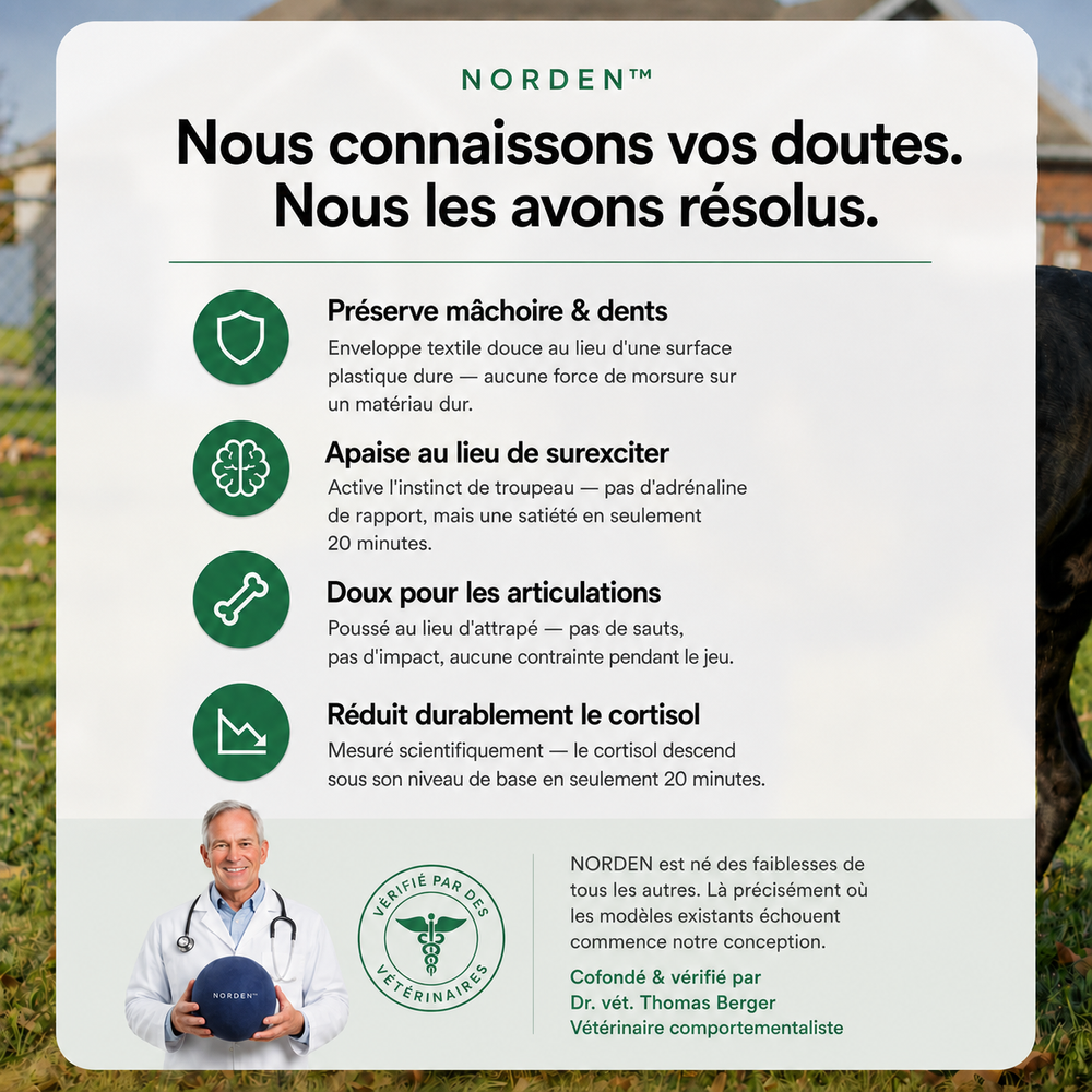 NORDEN™ — Treibball original