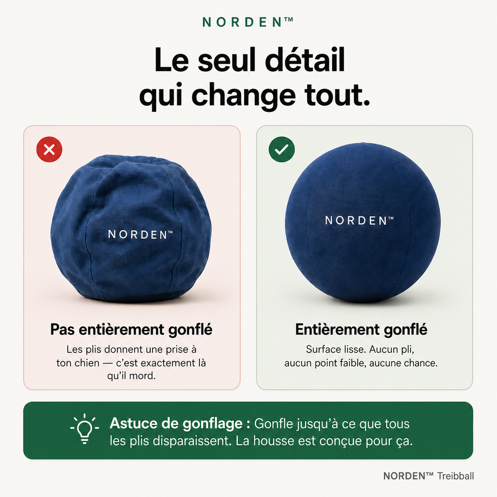 NORDEN™ — Treibball original