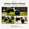 NORDEN™ — Treibball original