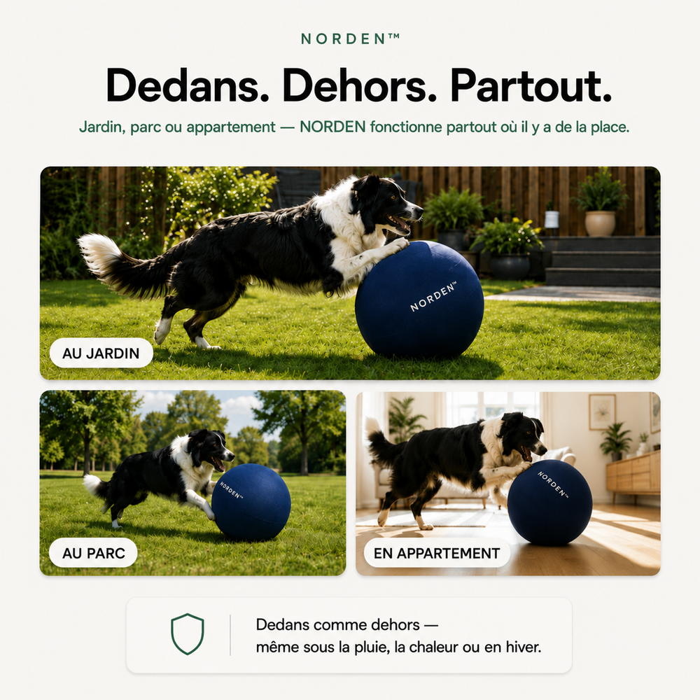 NORDEN™ — Treibball original