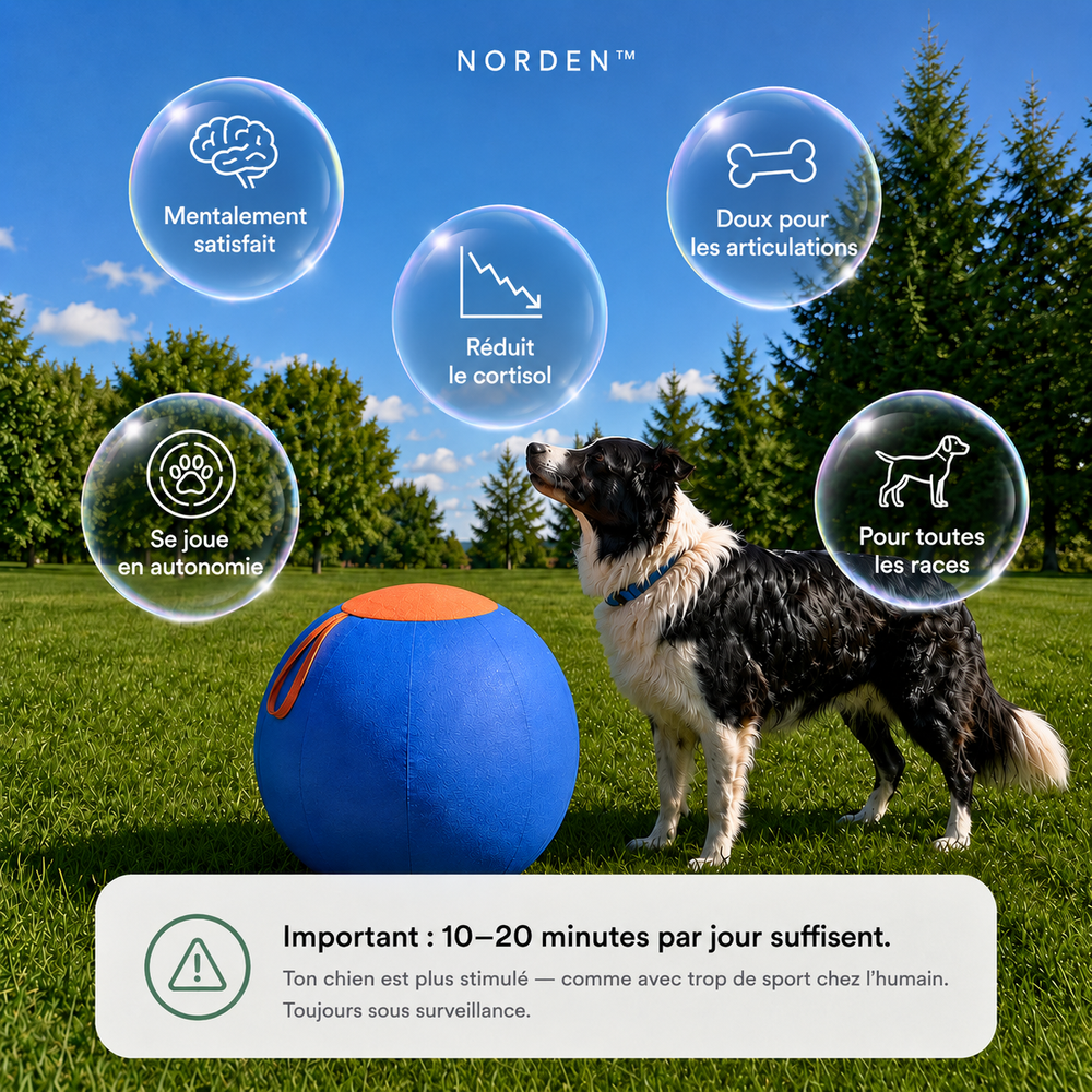 NORDEN™ — Treibball original