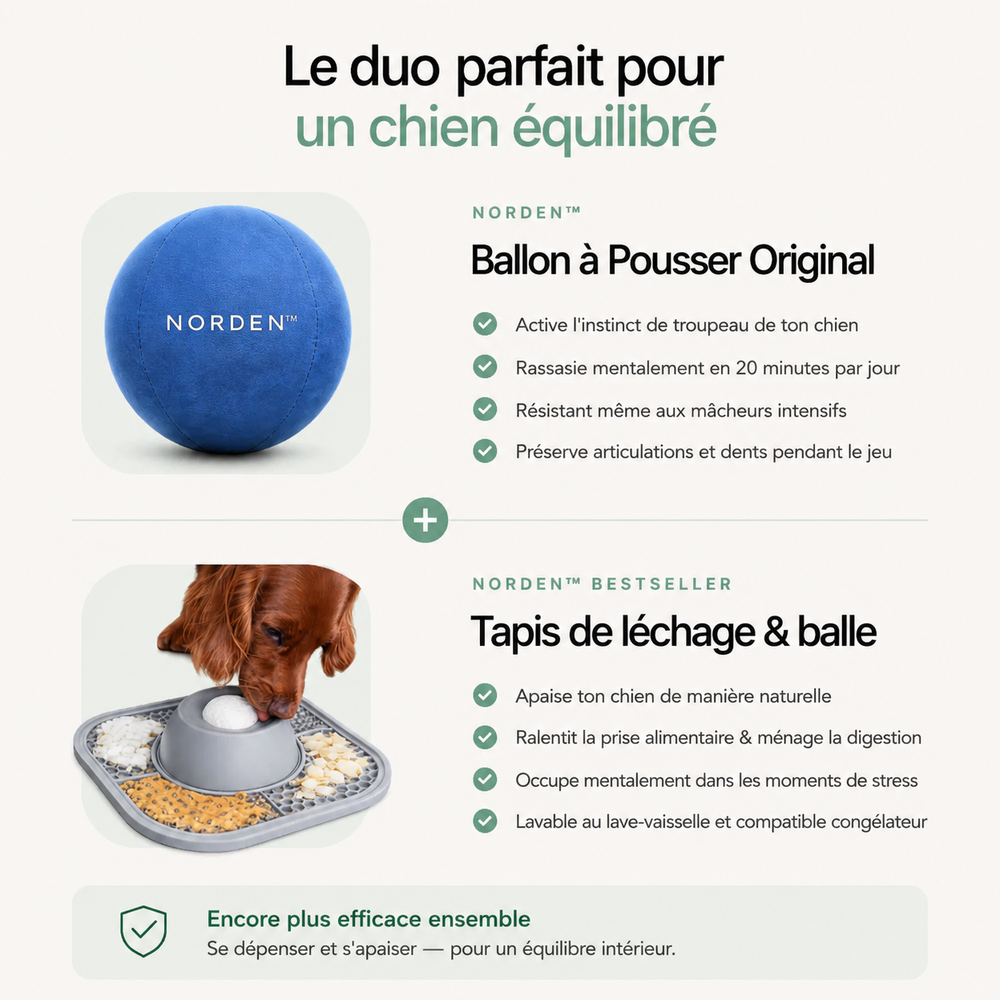 NORDEN™ — Treibball original