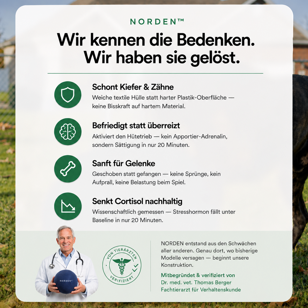 NORDEN™ — Treibball original