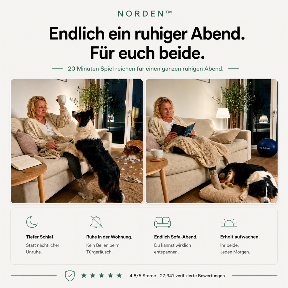 NORDEN™ — Treibball original
